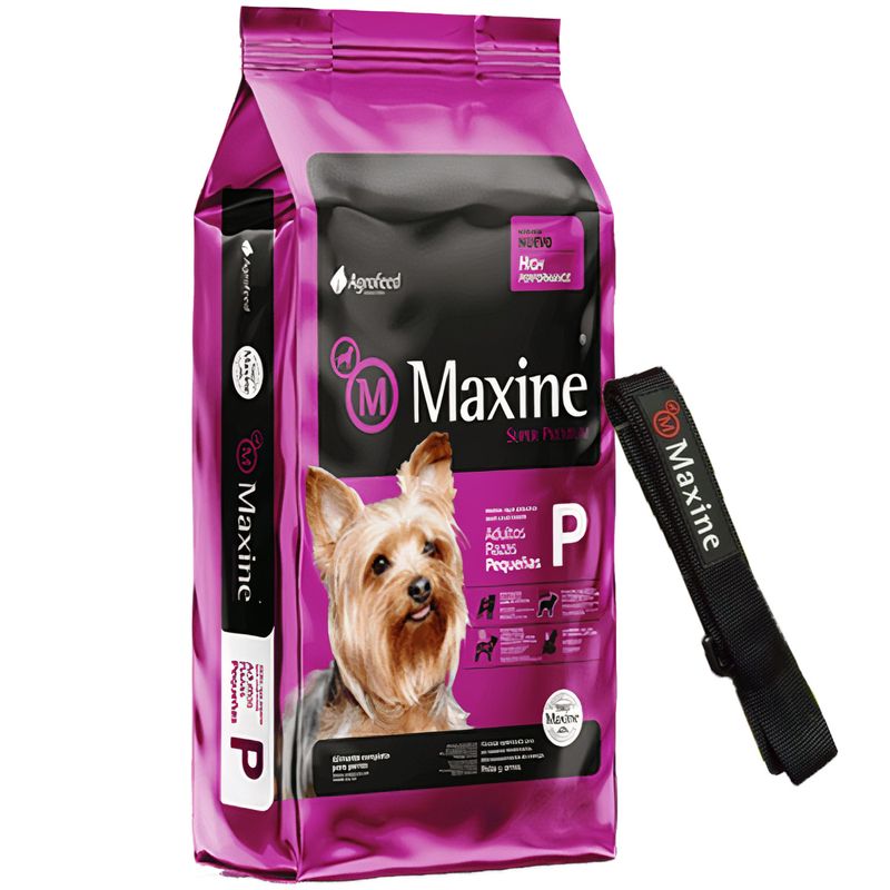 2Maxine Adulto Raza Pequena + Correa