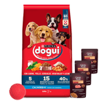 Dogui-Perro-Cachorro---3-pate---pelota