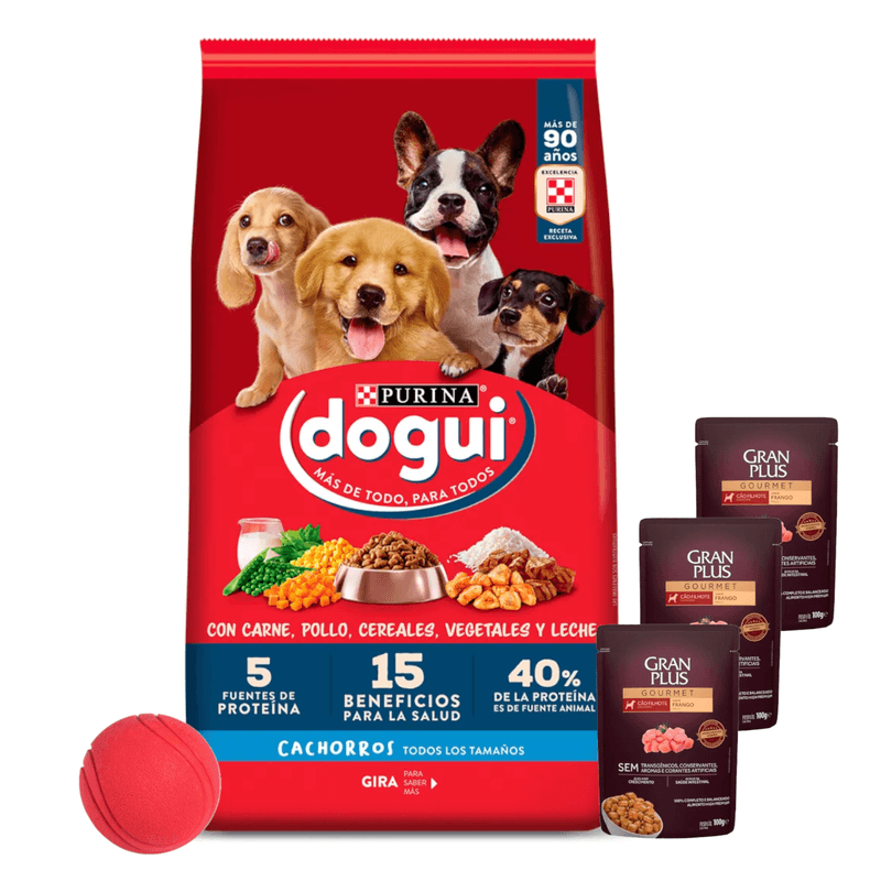 Dogui-Perro-Cachorro---3-pate---pelota