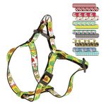 2Arnes-Fantasia-arlecchino-all-sizes--menos-xxs-