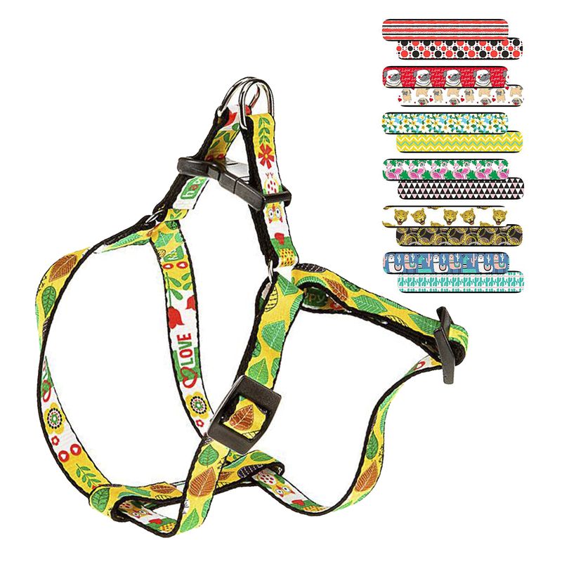 2Arnes-Fantasia-arlecchino-all-sizes--menos-xxs-