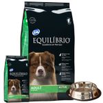2Equilibrio Adulto + plato metalico