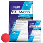 Balanced Dog Adulto G 20 + 2 Kg + pelota