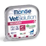 RECOVERY-GATTO-VERTICALE-100