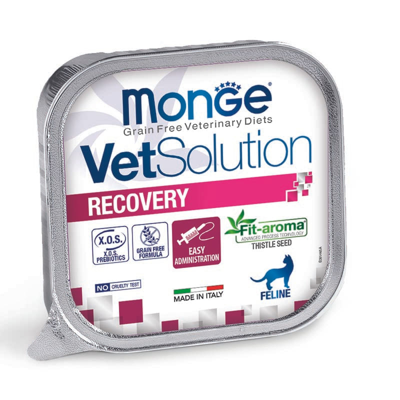 RECOVERY-GATTO-VERTICALE-100