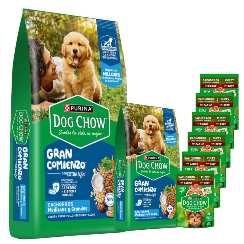 2Dog Chow Cachorros 21+3kg + Biscrock + 6 pates Dog Chow Carne
