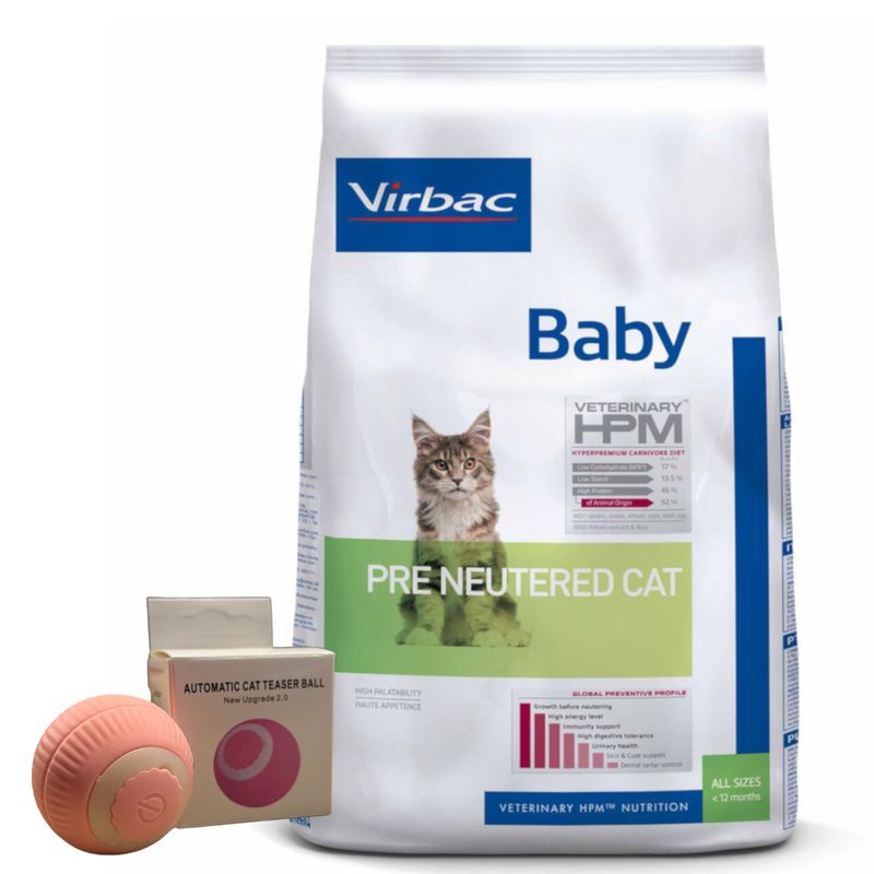 2HPM - Baby Pre Neutered Cat + jUGUETE eLECTRICO